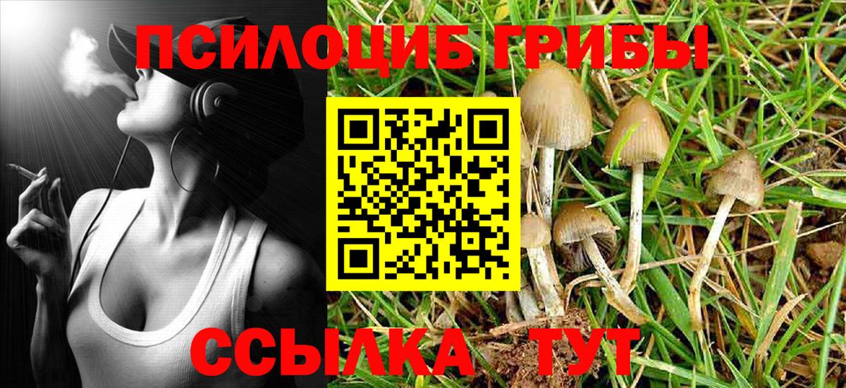 Псилоцибиновые грибы Psilocybine cubensis Норильск